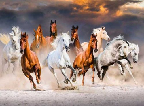 پوستر دیواری سه بعدی گله اسب ها کد: AN049 3 پوستر دیواری سه بعدی گله اسب ها کد: AN049