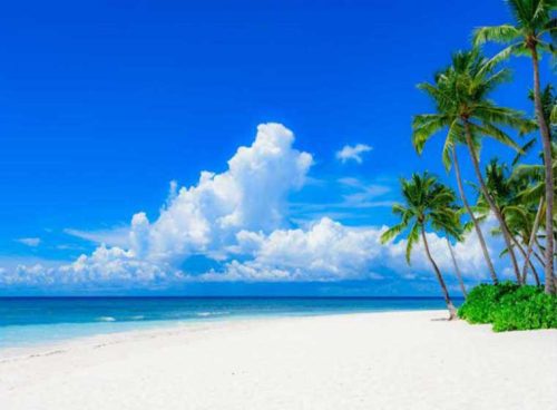 پوستر دیواری سه بعدی ساحل کد NT-167 3 پوستر دیواری سه بعدی ساحل کد NT-167