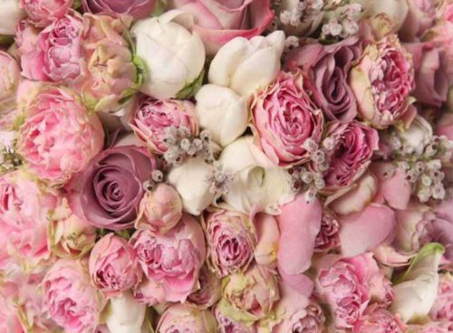 پوستر دیواری سه بعدی گلهای صورتی کد NT-147