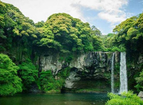 پوستر دیواری سه بعدی آبشار و دریاچه کد NT-158 3 پوستر دیواری سه بعدی آبشار و دریاچه کد NT-158