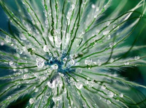 پوستر دیواری سه بعدی شبنم کد NT-172 3 پوستر دیواری سه بعدی شبنم کد NT-172