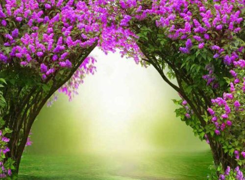 پوستر دیواری سه بعدی طاق گل بنفش کد NT-181 3 پوستر دیواری سه بعدی طاق گل بنفش کد NT-181