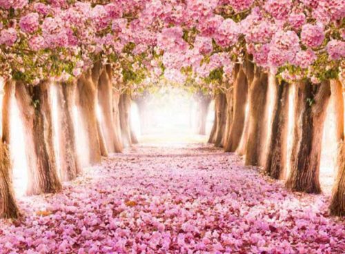 پوستر دیواری سه بعدی بهشت صورتی کد NT-182 3 پوستر دیواری سه بعدی بهشت صورتی کد NT-182