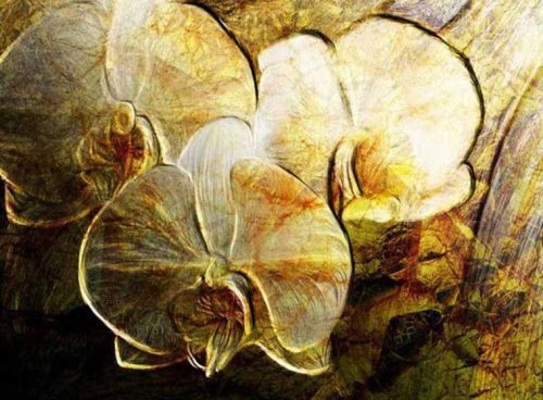 پوستر دیواری سه بعدی گل ارکیده کد LX-053 3 پوستر دیواری سه بعدی گل ارکیده کد LX-053