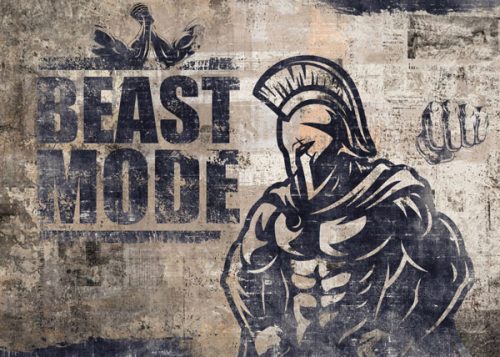 پوستر دیواری سالن بدنسازی طرح گلادیتور 2 خرید پوستر دیواری سالن بدنسازی طرح گلادیتور