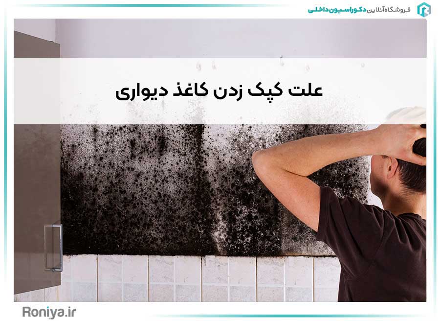 علت کپک زدن کاغذ دیواری | دکوراسین داخلی رونیا