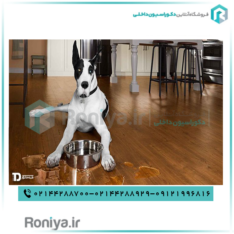 کفپوش مناسب برای حیوانات خانگی 11 خرید و قیمت پارکت مخصوص حیوانات خانگی | دکوراسیون داخلی رونیا