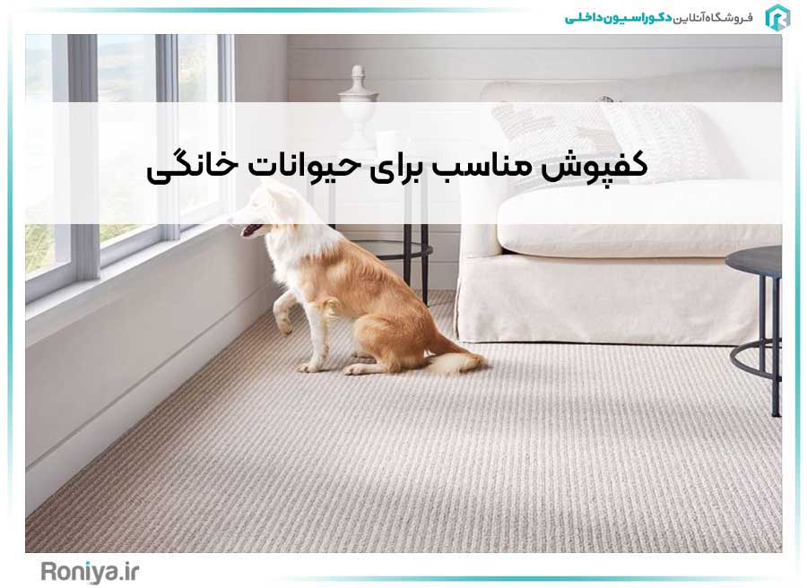 کفپوش مناسب برای حیوانات خانگی | دکوراسیون داخلی رونیا