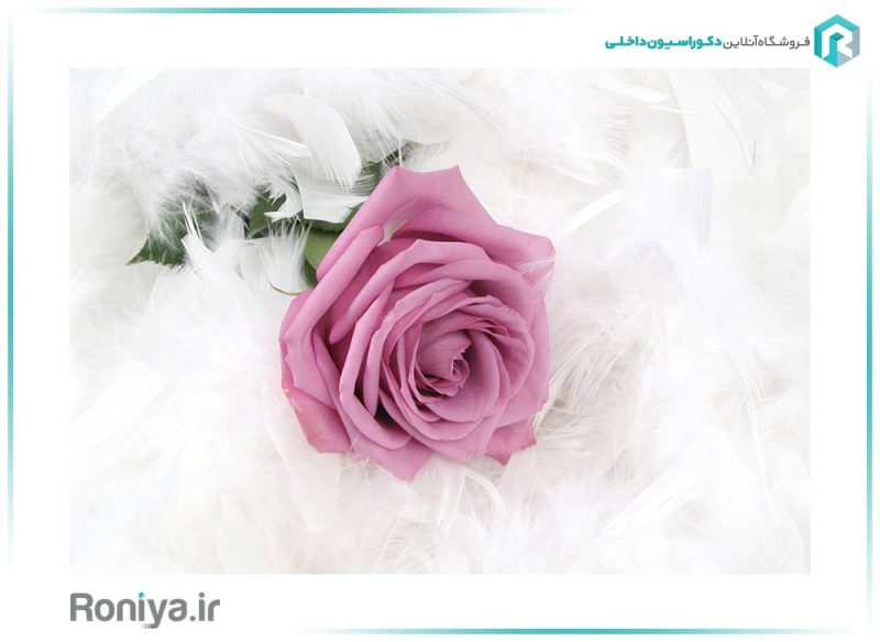 پوستر سه بعدی رز یاسی 3DF-330