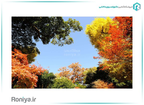 آسمان مجازی درختان پاییزی کد T91