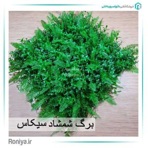 گرین وال شمشاد سیکاس