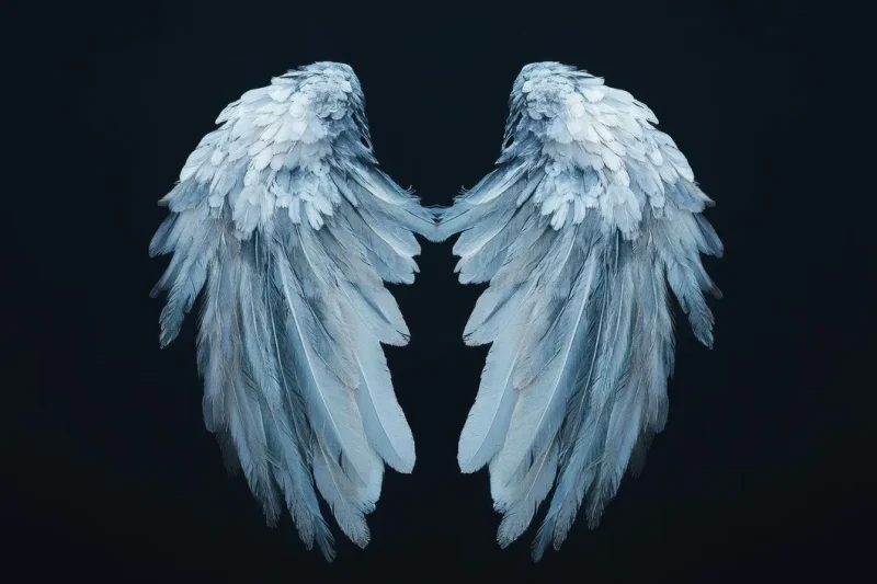 پوستر دیواری بال فرشته