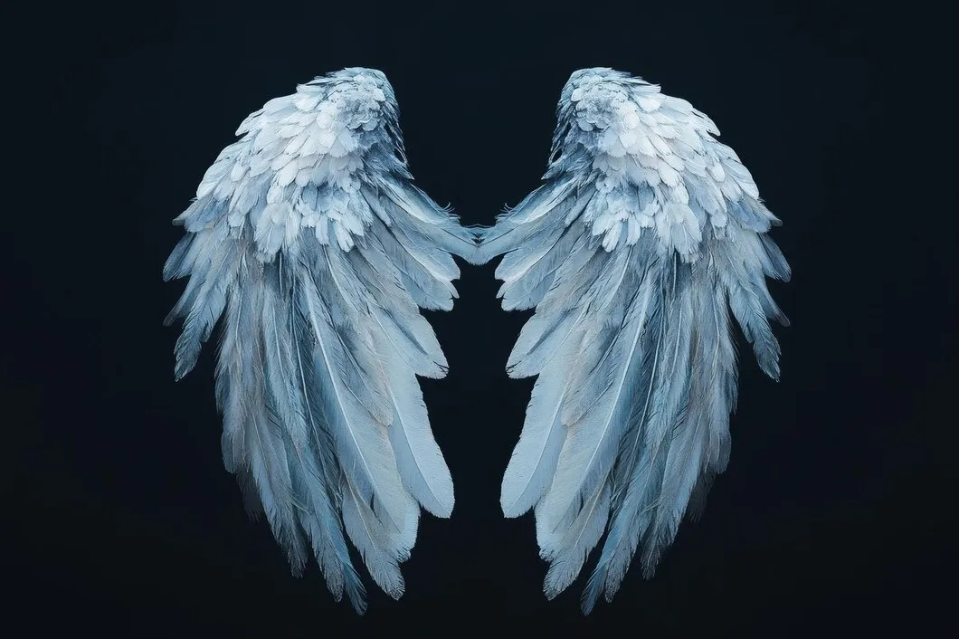 پوستر دیواری بال فرشته