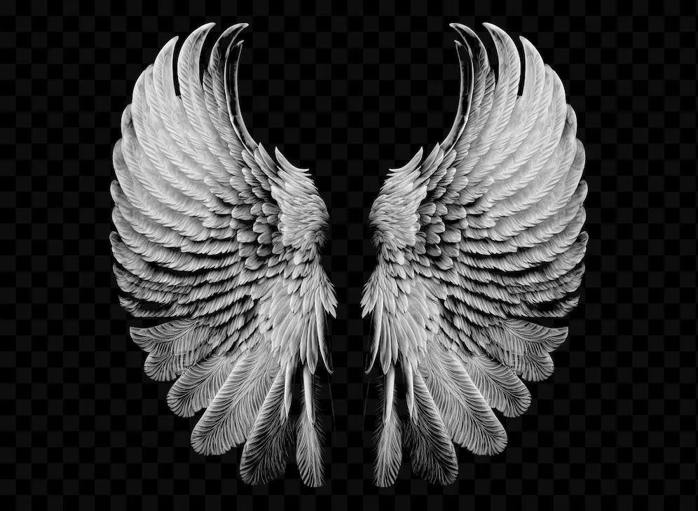 پوستر دیواری سه بعدی طرح بال