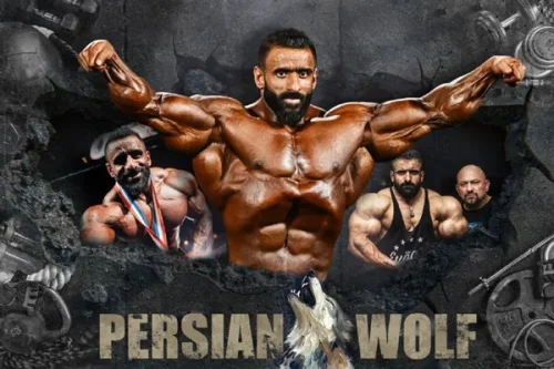 پوستر دیواری باشگاه هادی چوپان 2 پوستر دیواری باشگاه هادی چوپان - Image 2