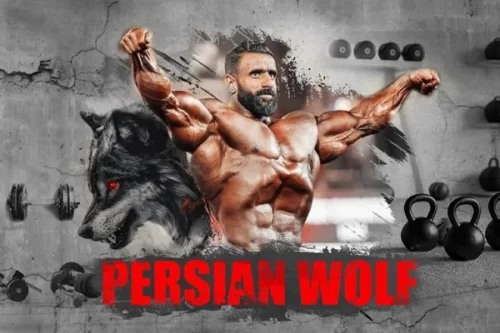 پوستر دیواری بدنسازی هادی چوپان