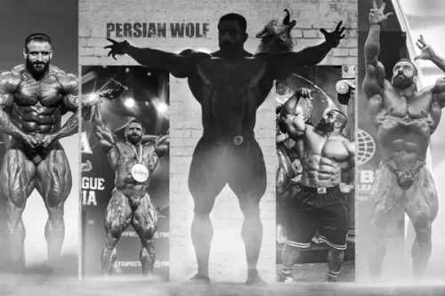 پوستر دیواری ورزشکار هادی چوپان 2 پوستر دیواری ورزشکار هادی چوپان