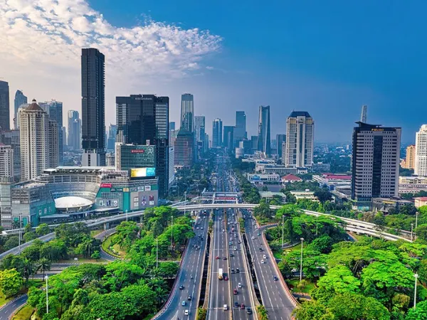 پوستر دیواری سه بعدی اندونزی 2 پوستر دیواری سه بعدی اندونزی