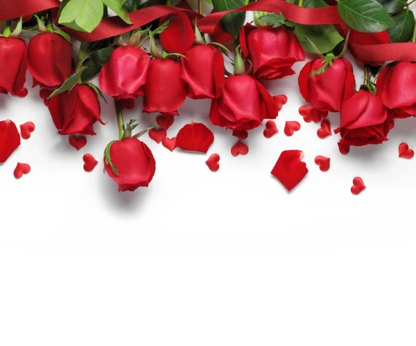 پوستر دیواری سه بعدی طرح گل های رز 2 پوستر دیواری سه بعدی طرح گل های رز