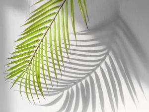 پوستر دیواری لابی طرح برگ نخل و سایه 3 پوستر دیواری لابی طرح برگ نخل و سایه