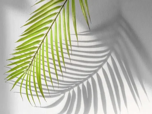 پوستر دیواری لابی طرح برگ نخل و سایه