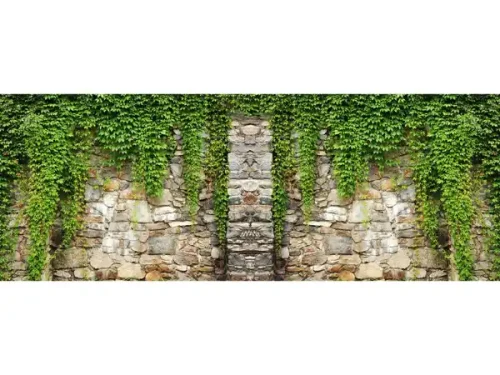 پوستر دیواری سه بعدی طرح دیوار سنگی و گیاه