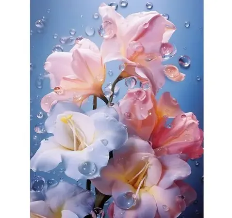 پوستر دیواری زیبا طرح گل های صورتی 2 پوستر دیواری زیبا طرح گل های صورتی